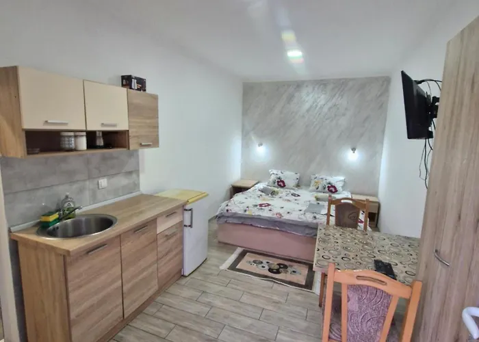 Apartament Kod Gorana 1 *